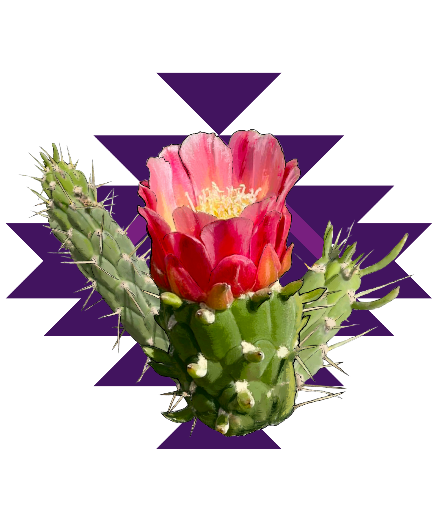 Illustration Kaktusfeige