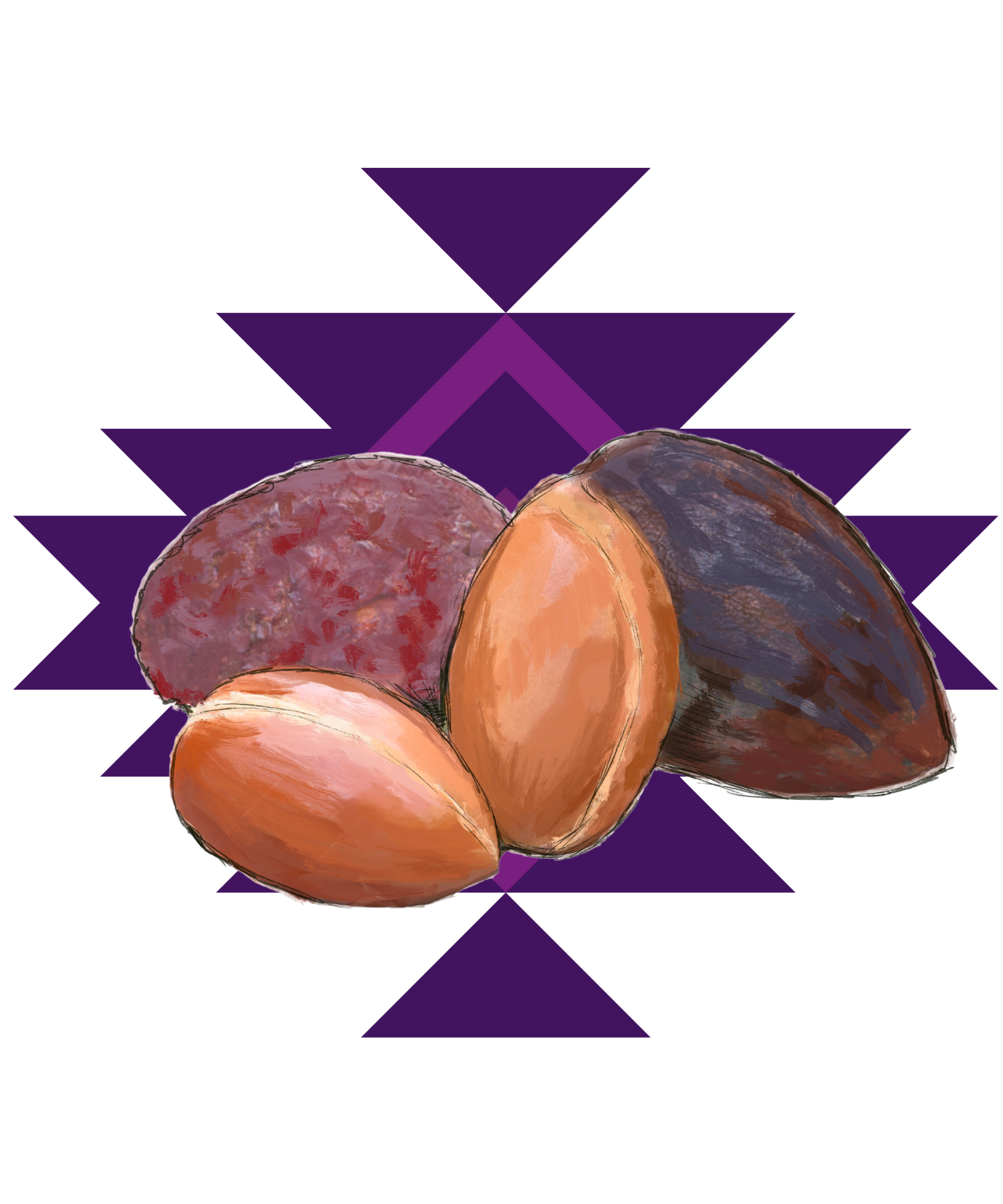 Illustration Argannüsse