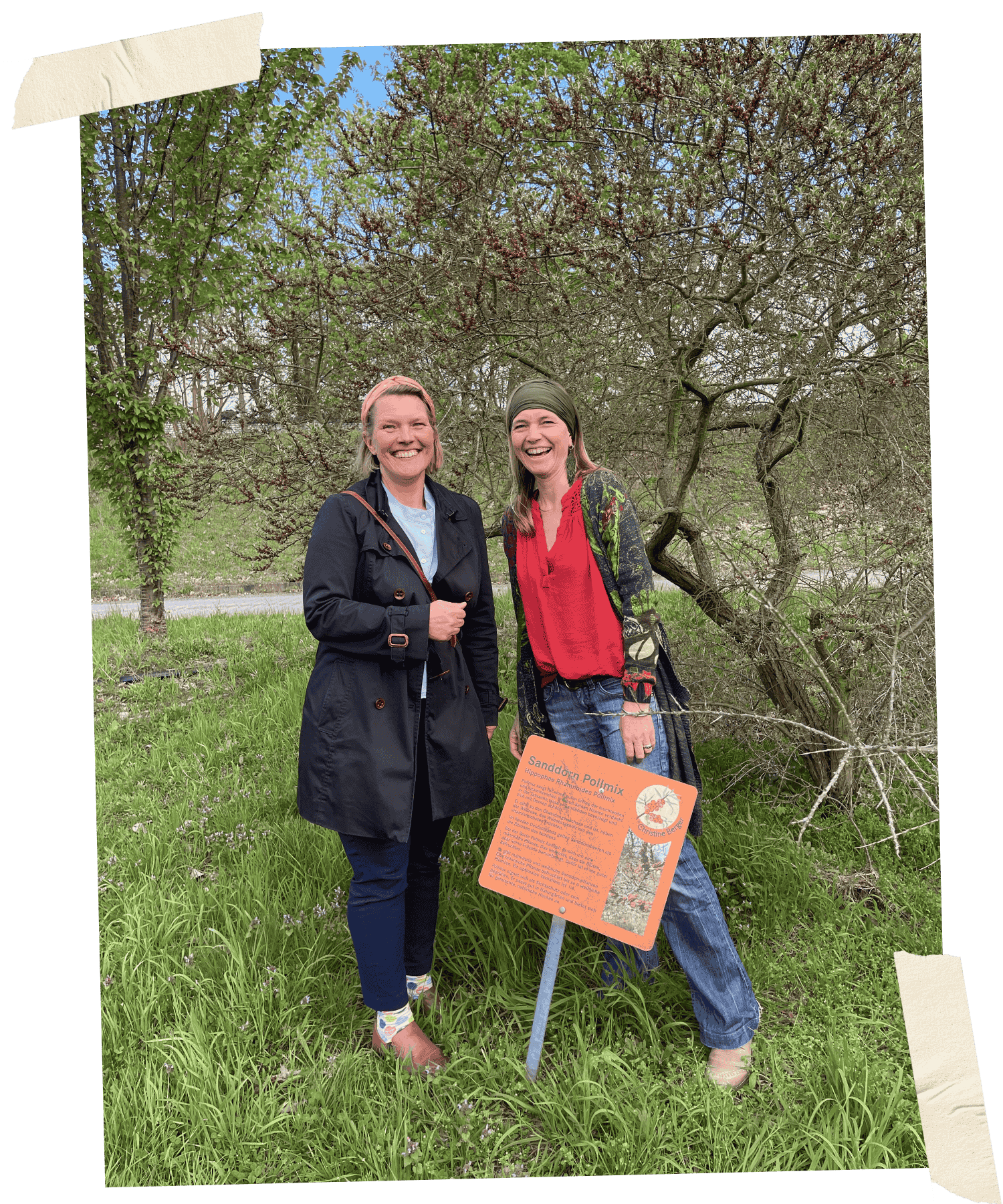 Dorothee vorm Sanddorn