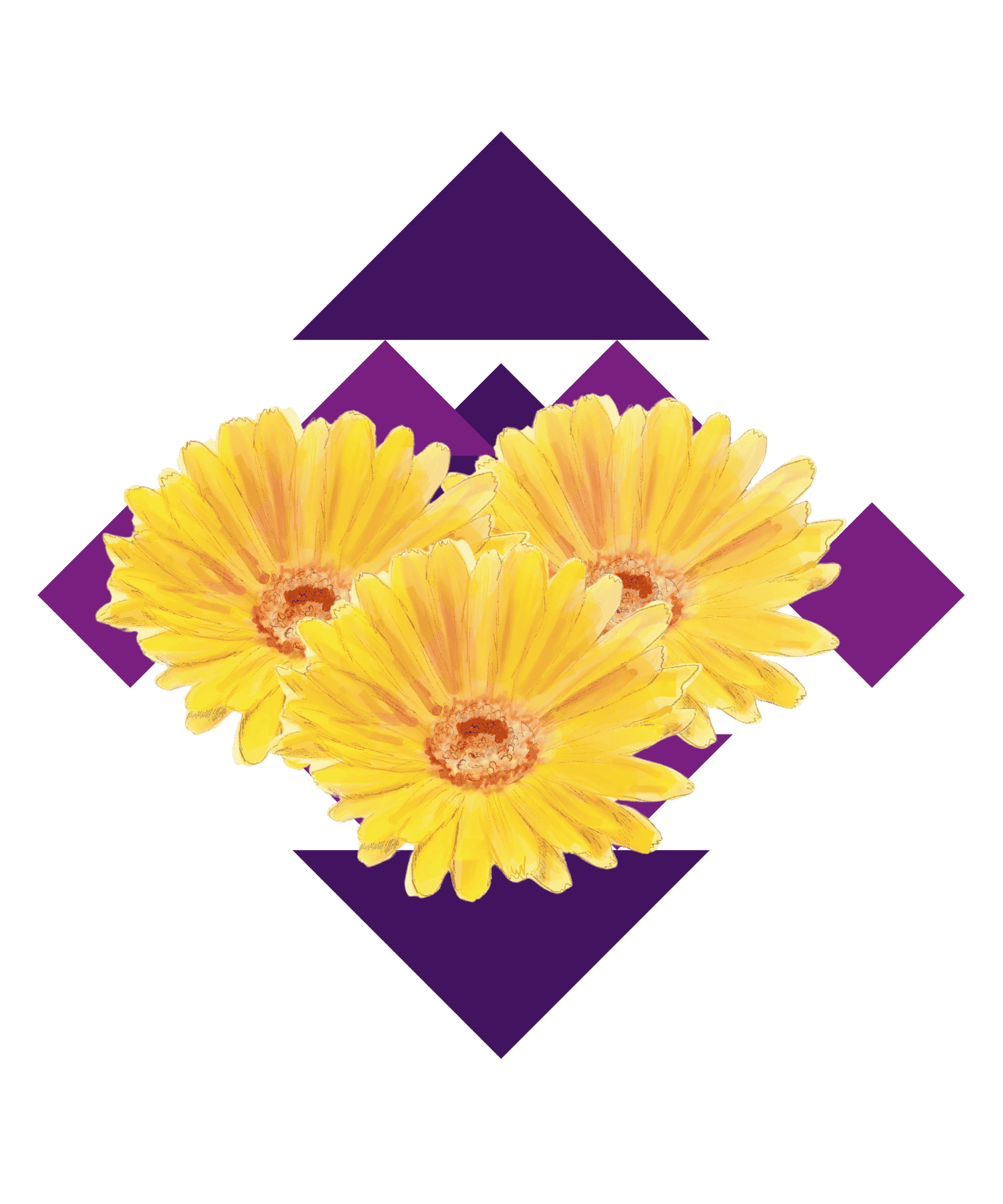 Illustration Ringelblume