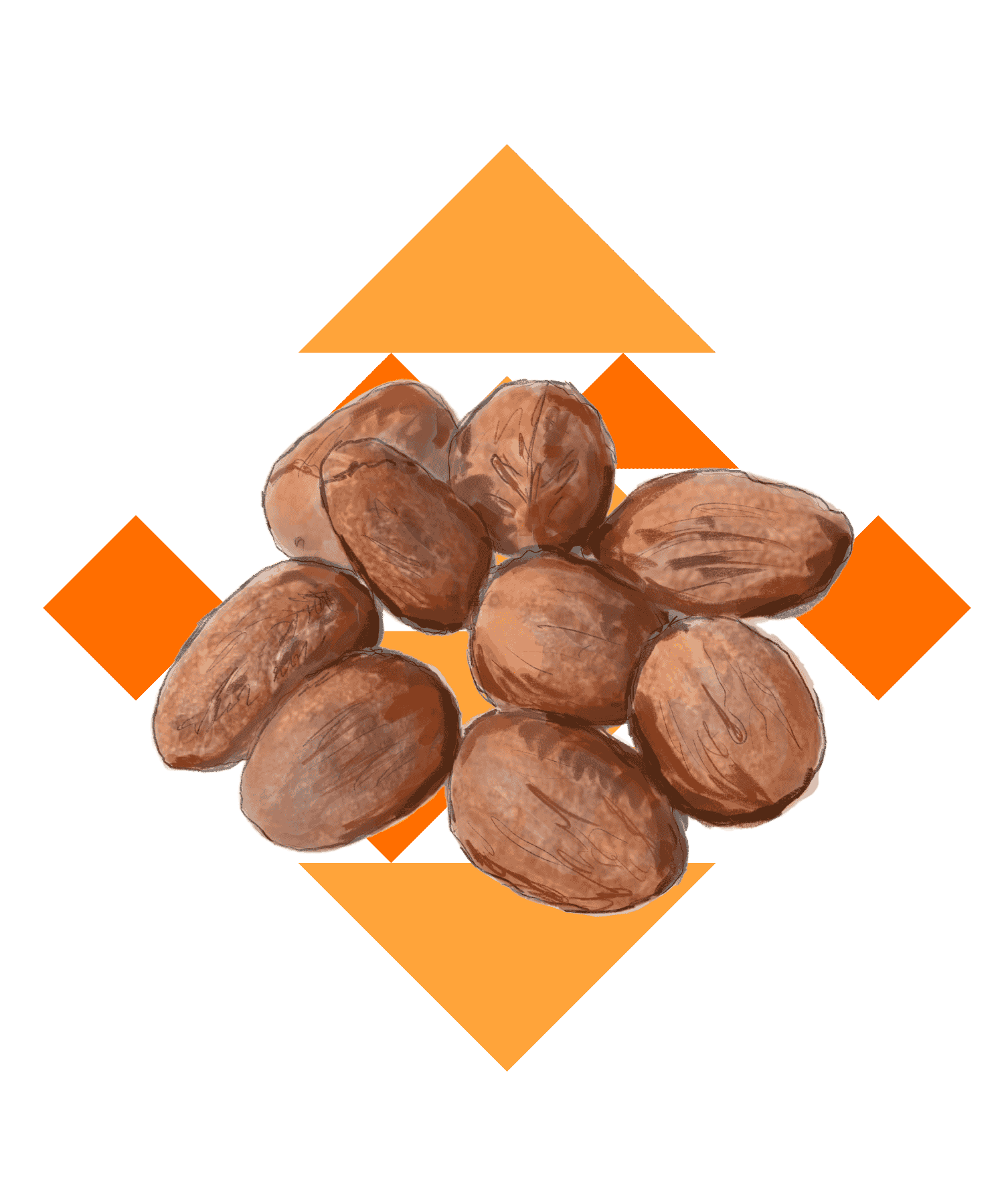 Illustration Sheabutter