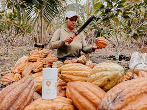 Kakaobutter Kakaokooperative Ecuador Fairtrade